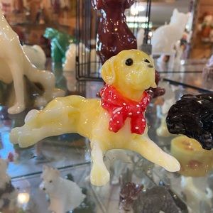 Meet your Posher, Kelsie